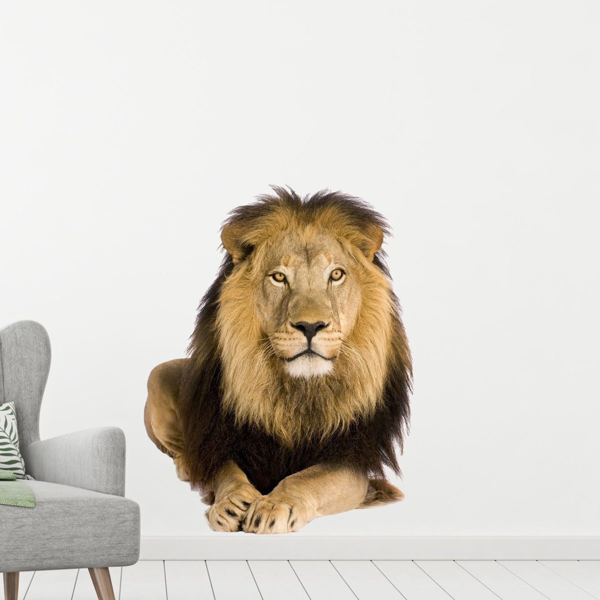 Löwe mit prächtiger Mähne, braun und goldfarben.