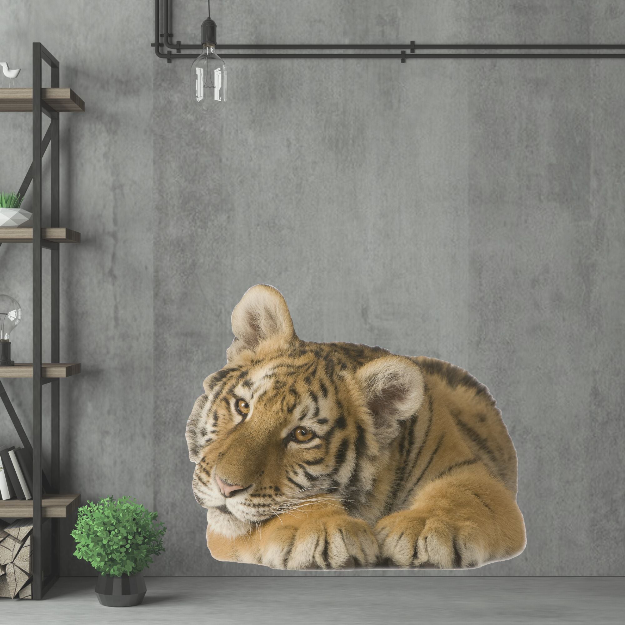Tigerjunges auf grauer Wand, entspannte Pose.