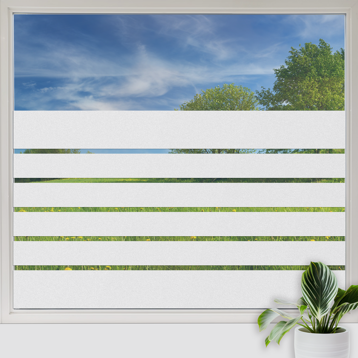Streifen Glasfolie für Fenster