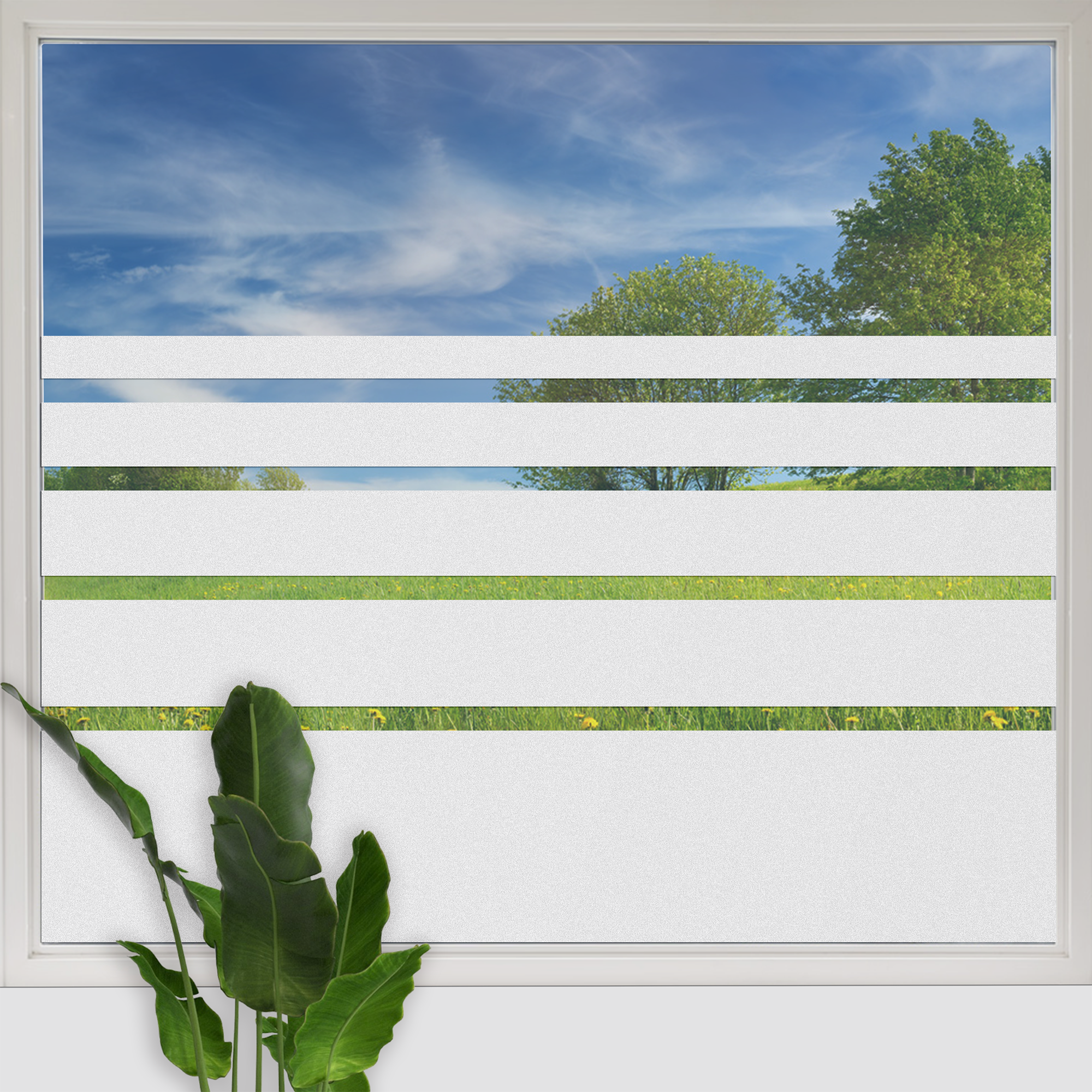 Streifen Glasdekorfolie Fenster