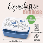 Eigenschaften der Brotdose mit Dinos-Motiv und Namen