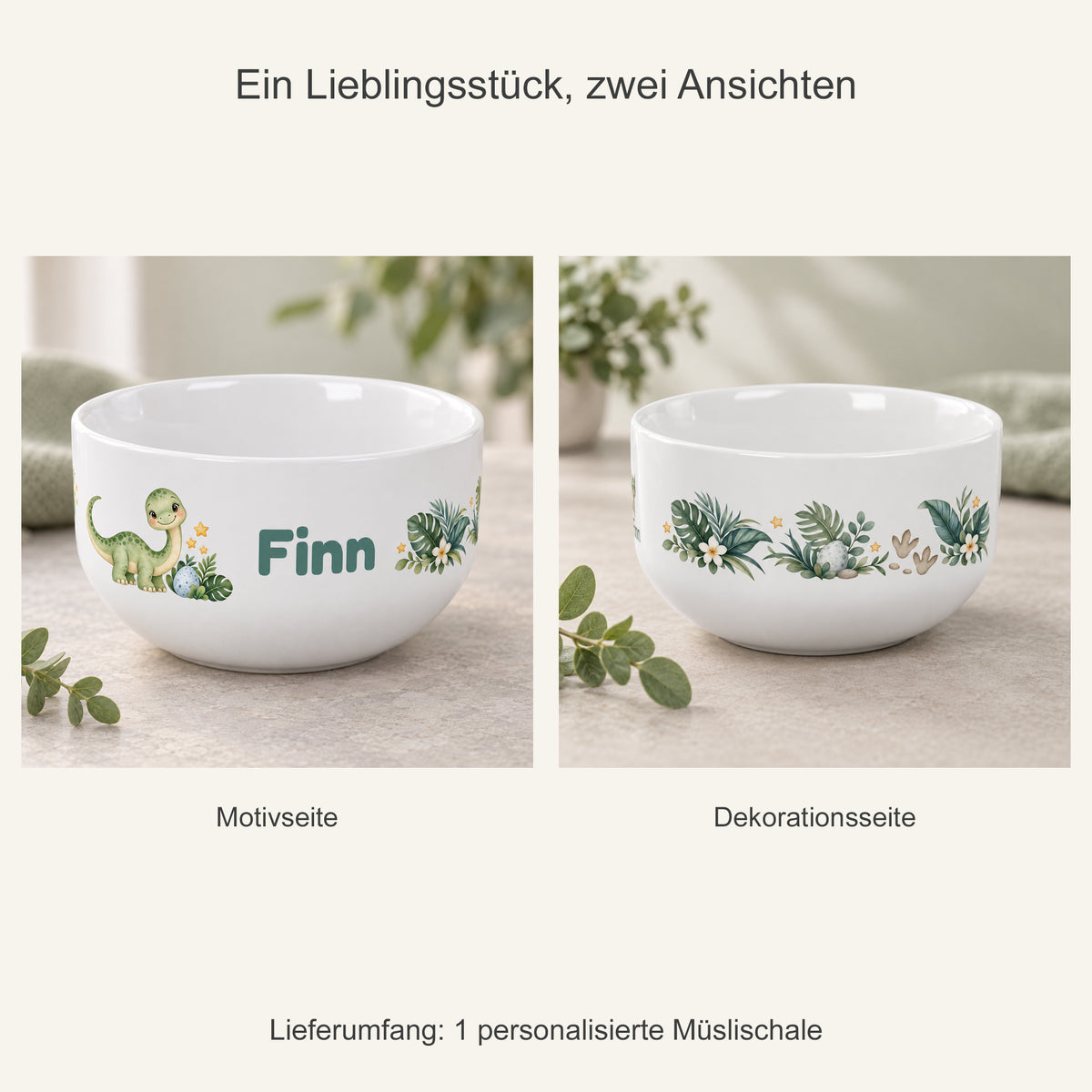 Zwei Ansichten einer einzelnen Müslischale mit Dinosaurier-Motiv