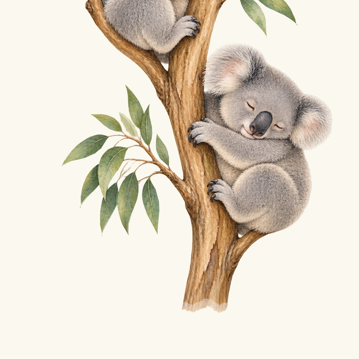 Konturdetail des Wandtattoos Schlafenszeit: Der kleinere schlafende Koala hält den unteren Ast; daneben wachsen grüne Eukalyptusblätter.