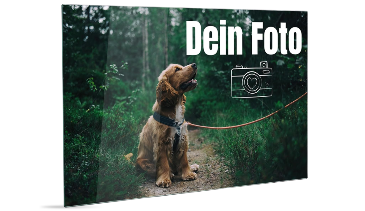 Hund an der Leine im Wald, braunes Fell.