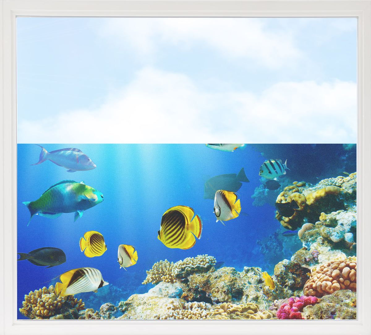 Bunte Fische und Korallen im klaren blauen Wasser.
