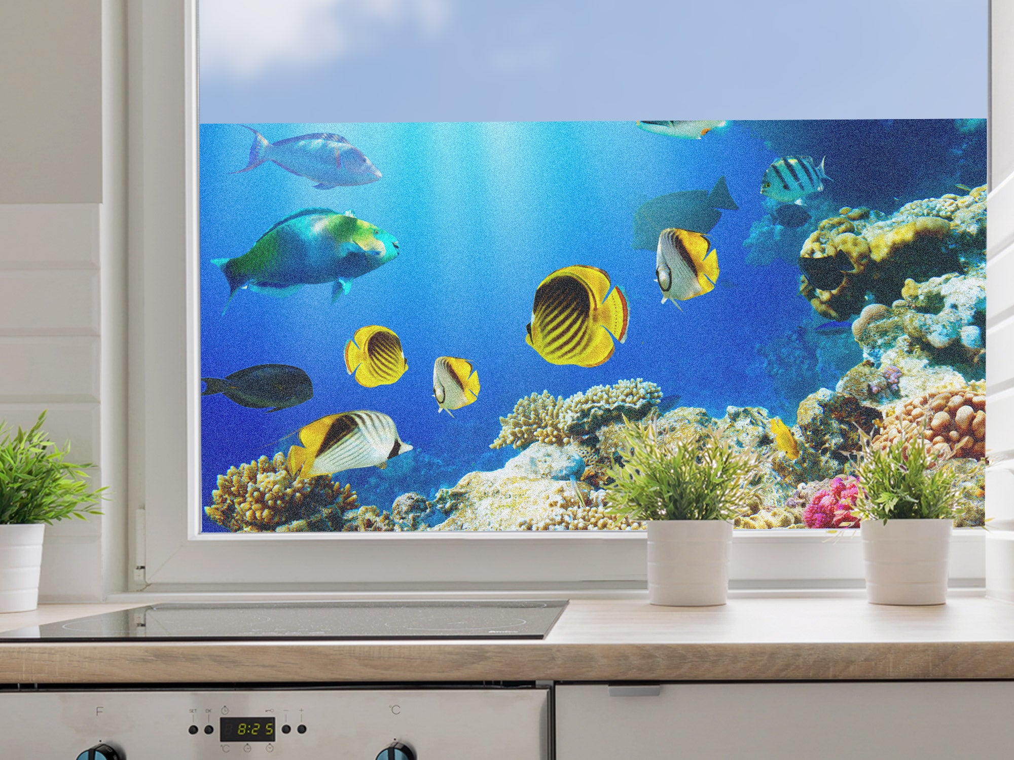Bunte Fische und Korallen im Unterwasser-Szenario.