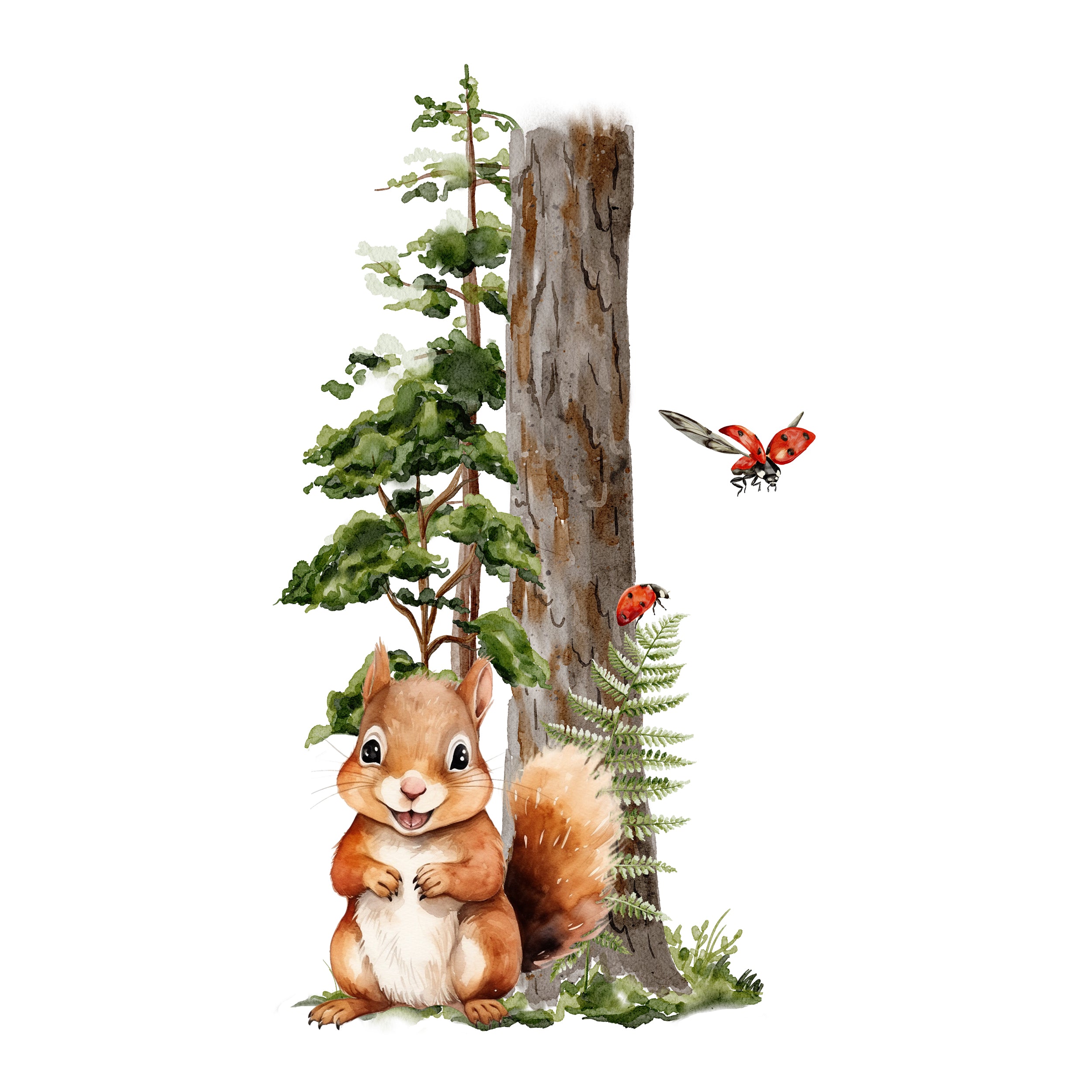 Wandtattoo Eichhörnchen