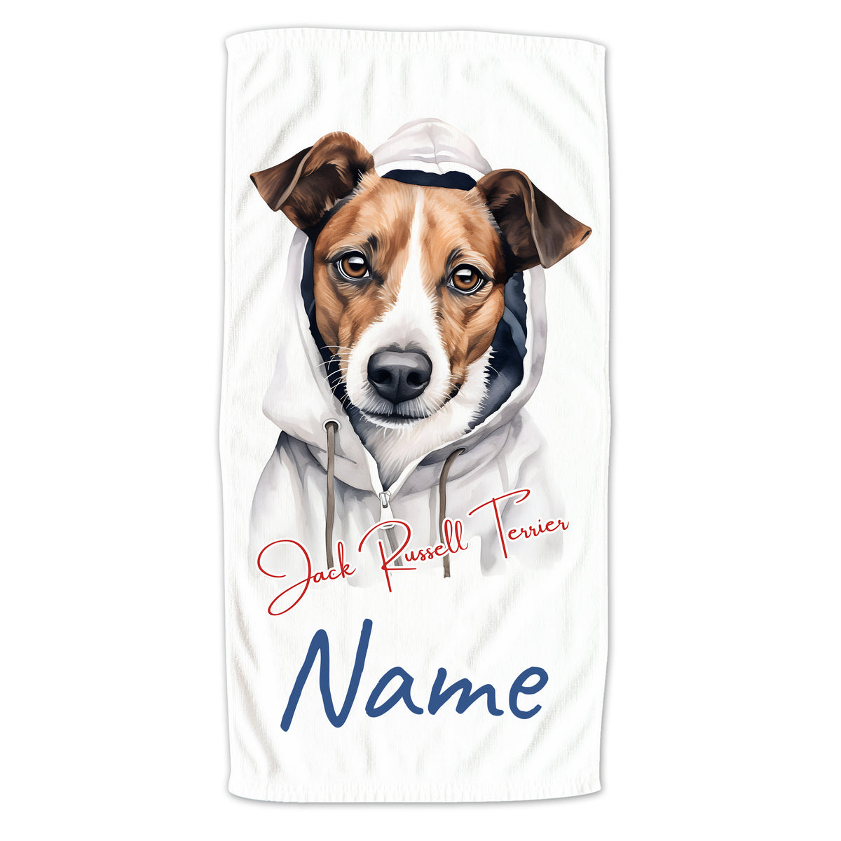 Jack Russell Terrier mit Kapuzenpullover, weißer Hintergrund.