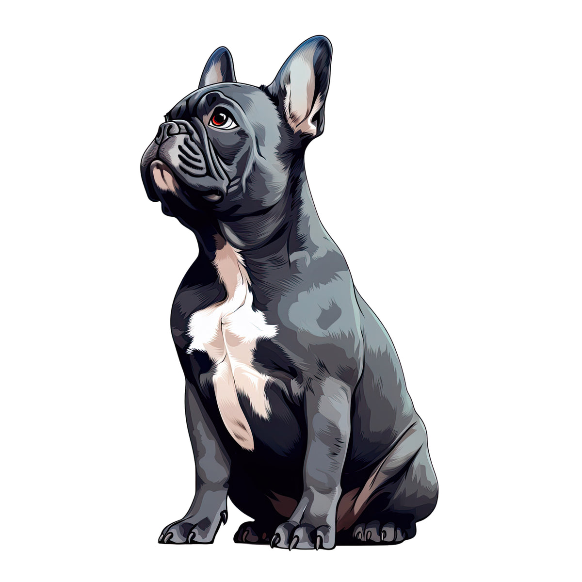 Sitzender grauer Französischer Bulldogge mit weißen Flecken.