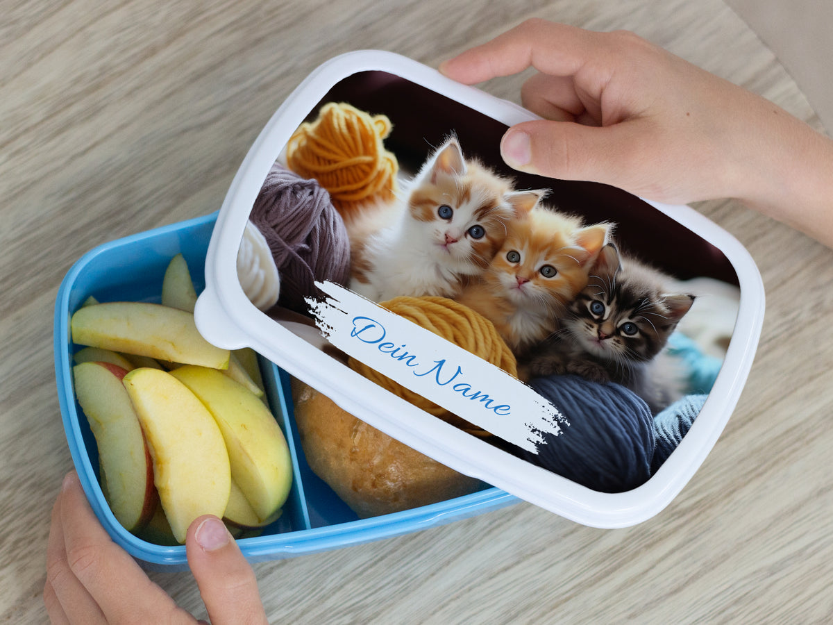 Brotdose mit Katzen