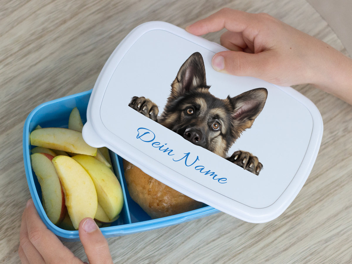 Blaue Lunchbox mit Hundemotiv und personalisiertem Namen.