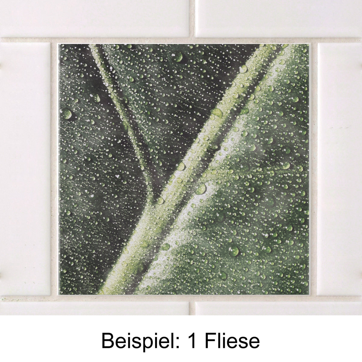 Grüne Fliese mit Wassertropfen auf Blattmuster.