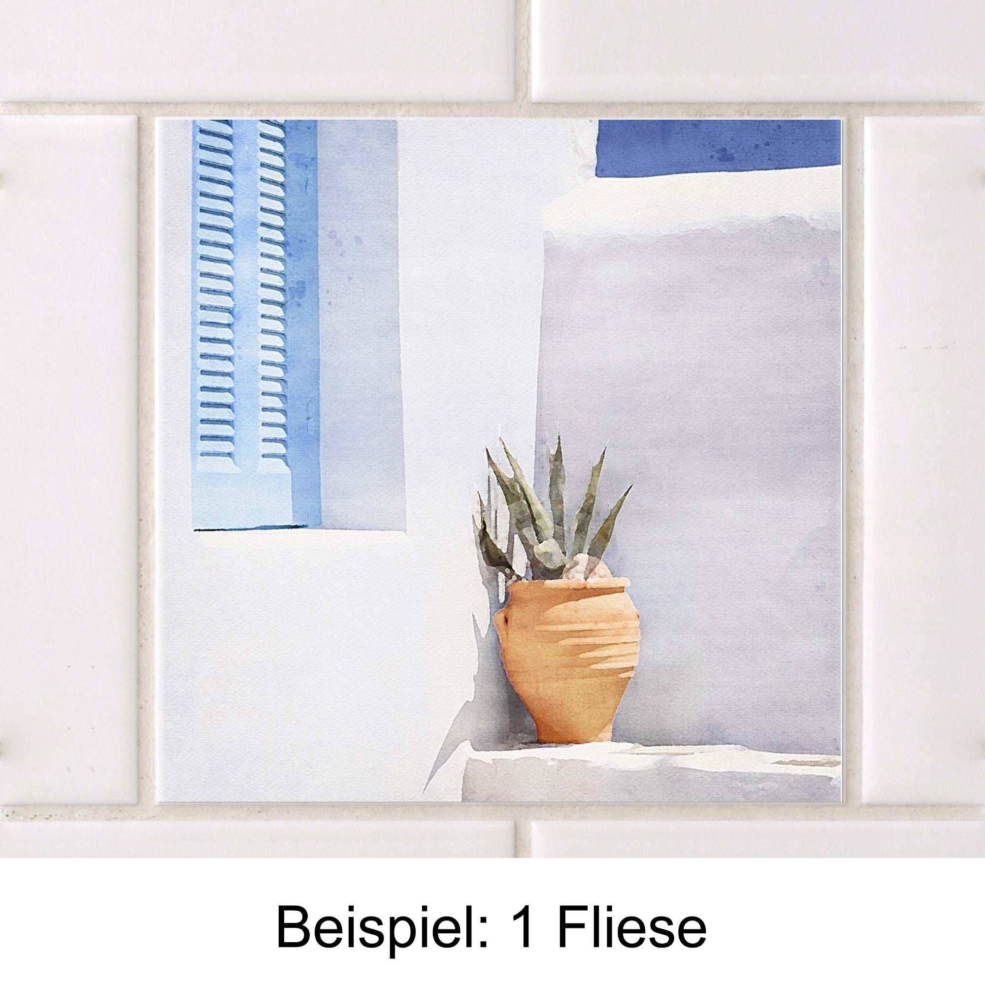 Terrakotta-Topf mit grüner Pflanze vor blauer Wand.