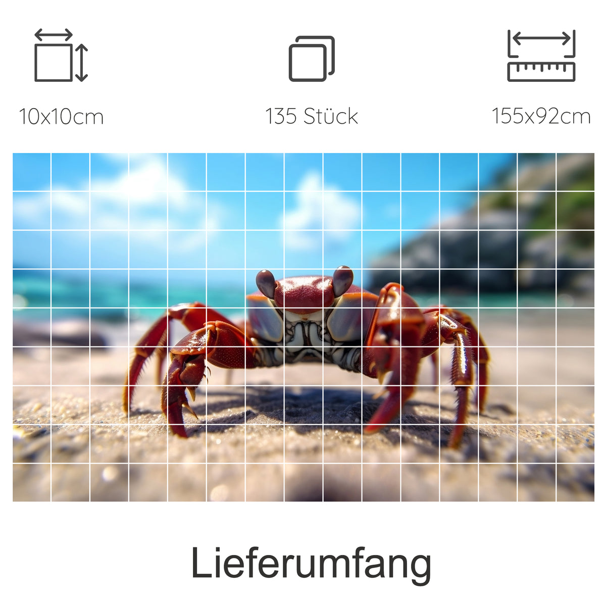 Rotbrauner Krebs am Strand mit blauem Himmel.