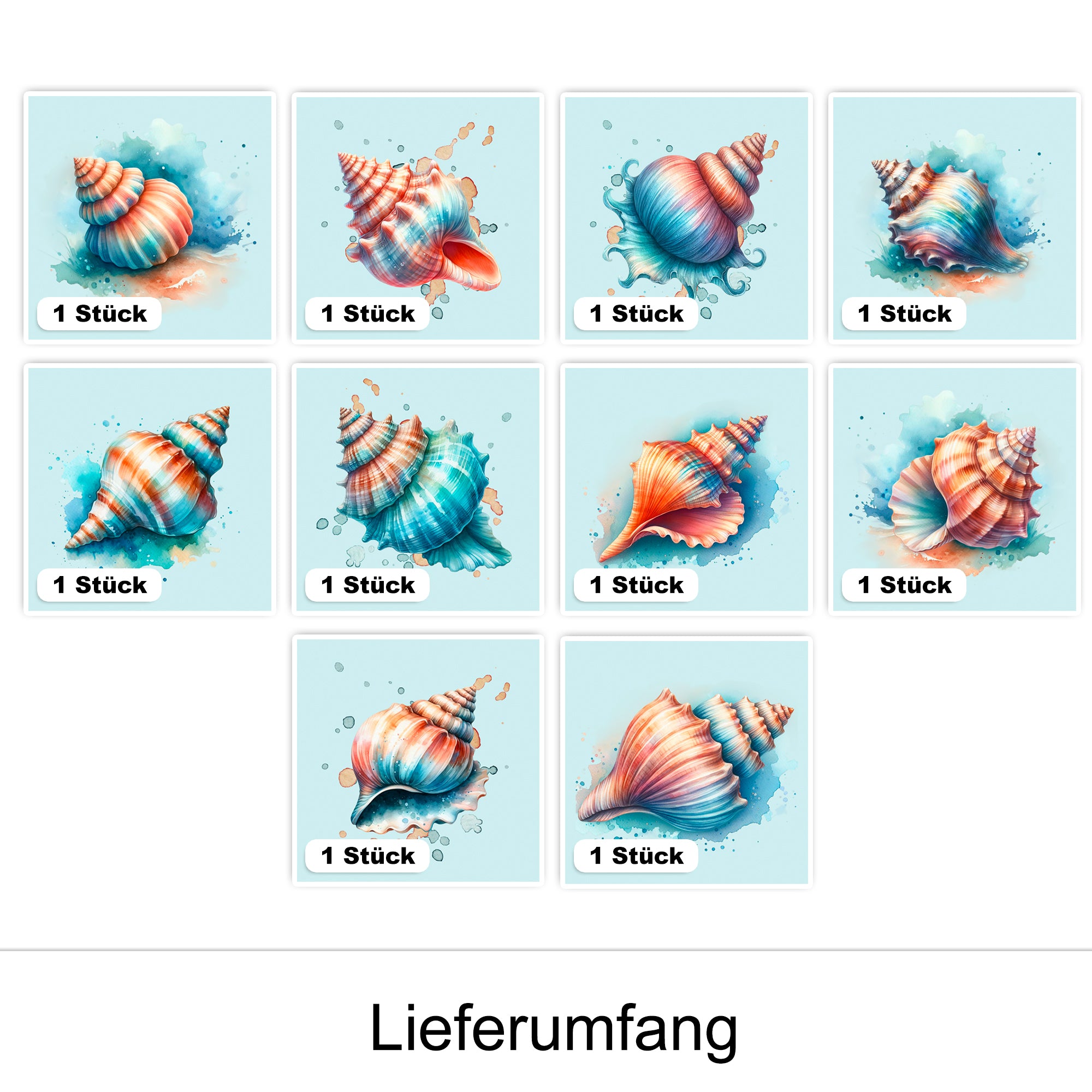 Bunte Muscheln in verschiedenen Formen und Farben.