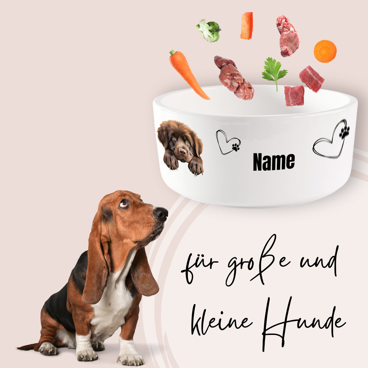 Hunde-Napf mit Namen, Fleisch und Gemüse, für große und kleine Hunde.