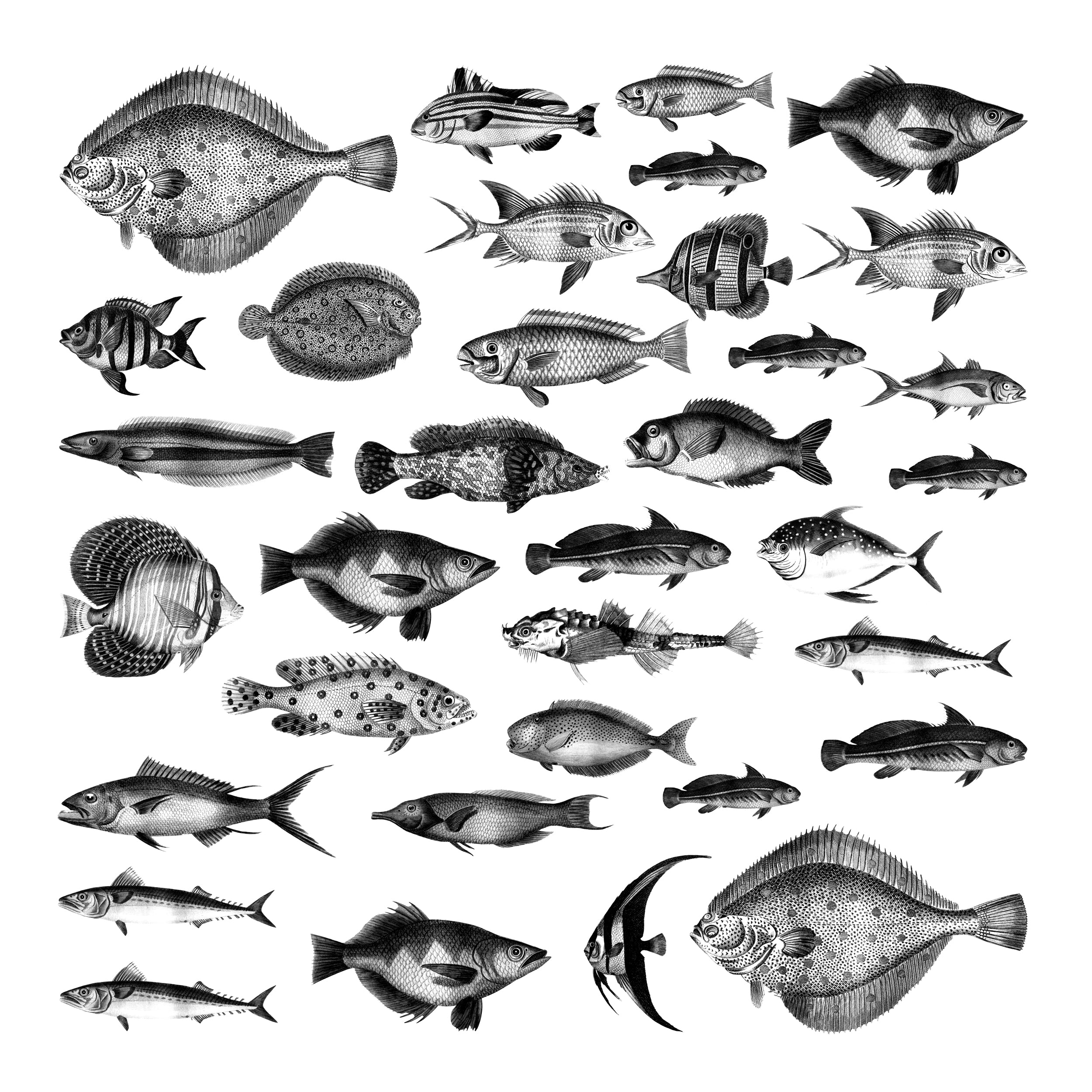 Motivübersicht für Wandtattoo mit schwarzen Fischen