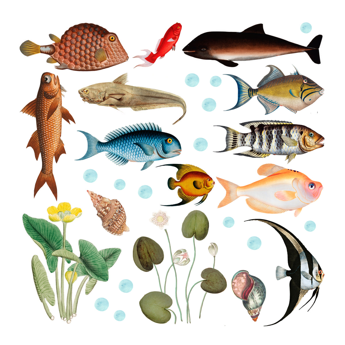 Motivübersicht für Wandtattoo mit bunten Fischen und Wasserpflanzen