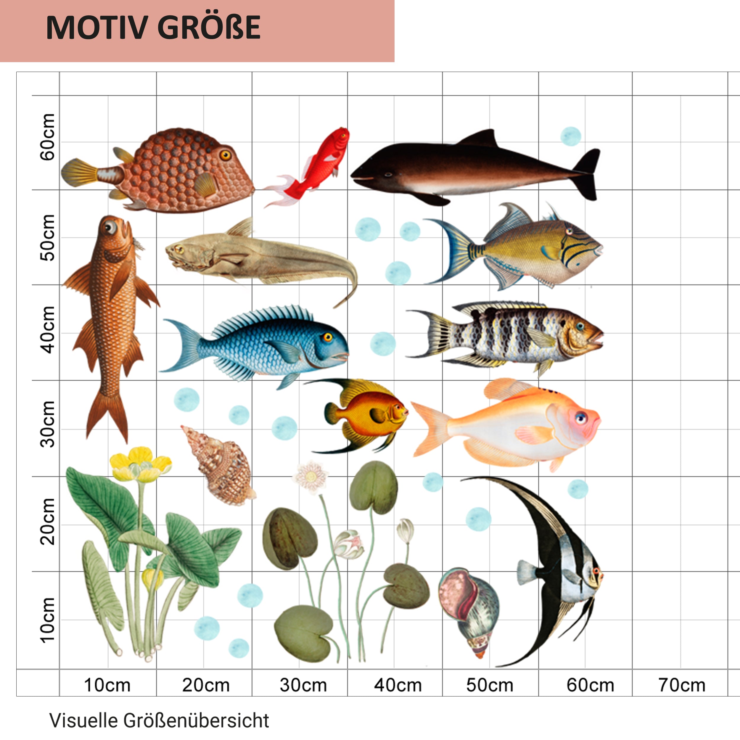 Größenübersicht für Wandtattoo mit bunten Fischen und Wasserpflanzen