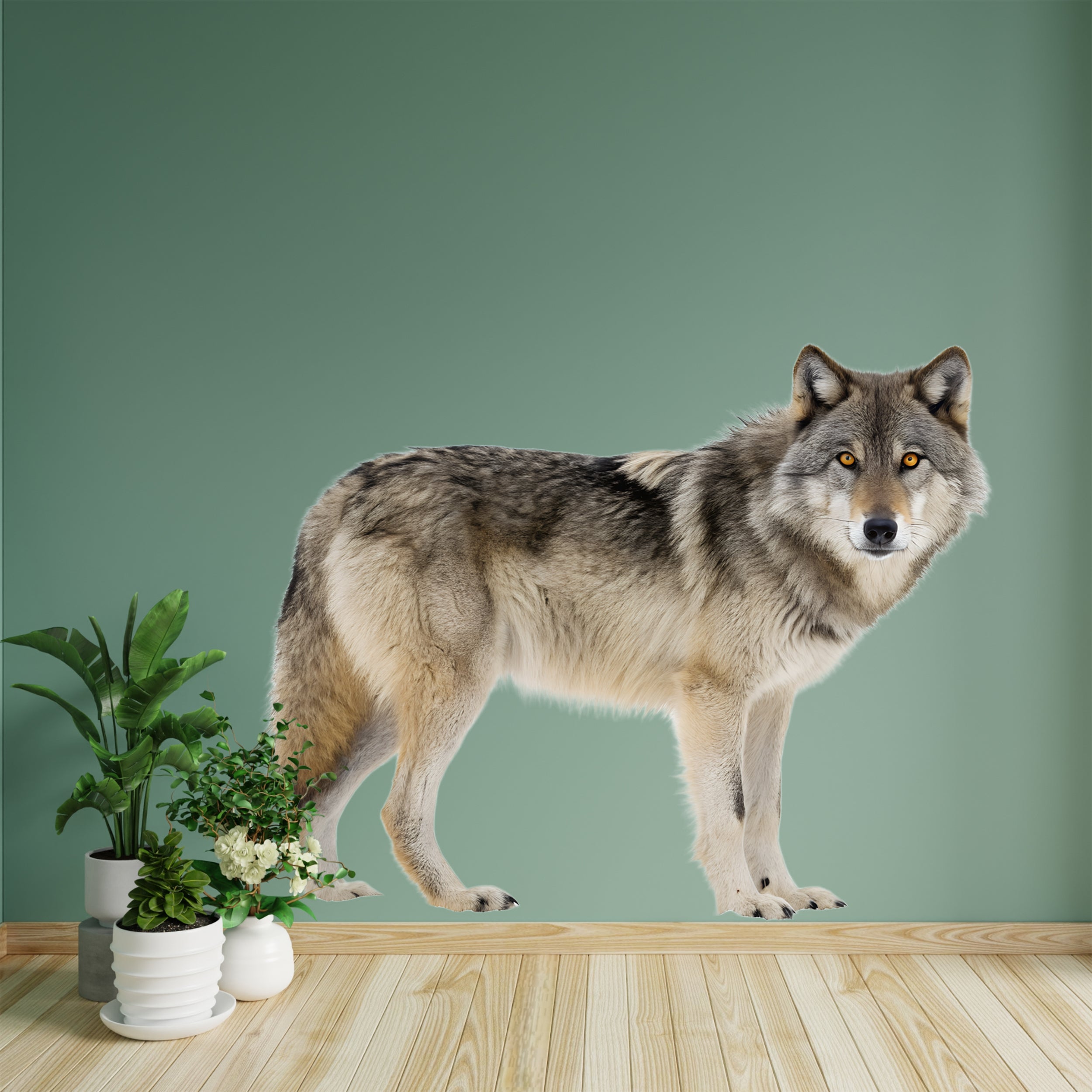 Wandtattoo Wolf