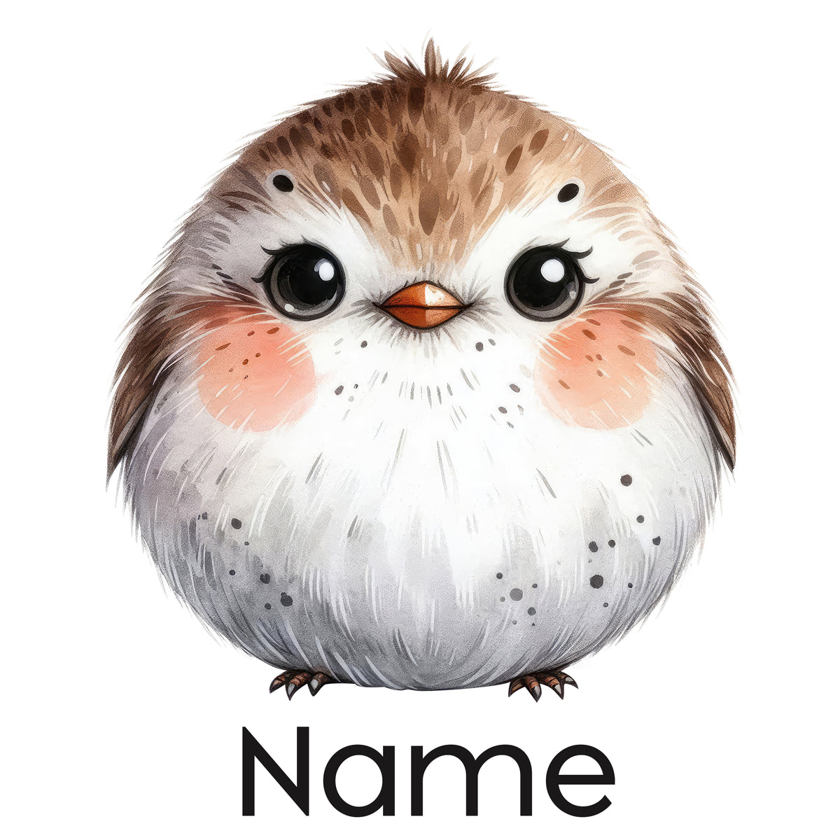 Runder, niedlicher Vogel mit braunem Kopf und weißen Federn.