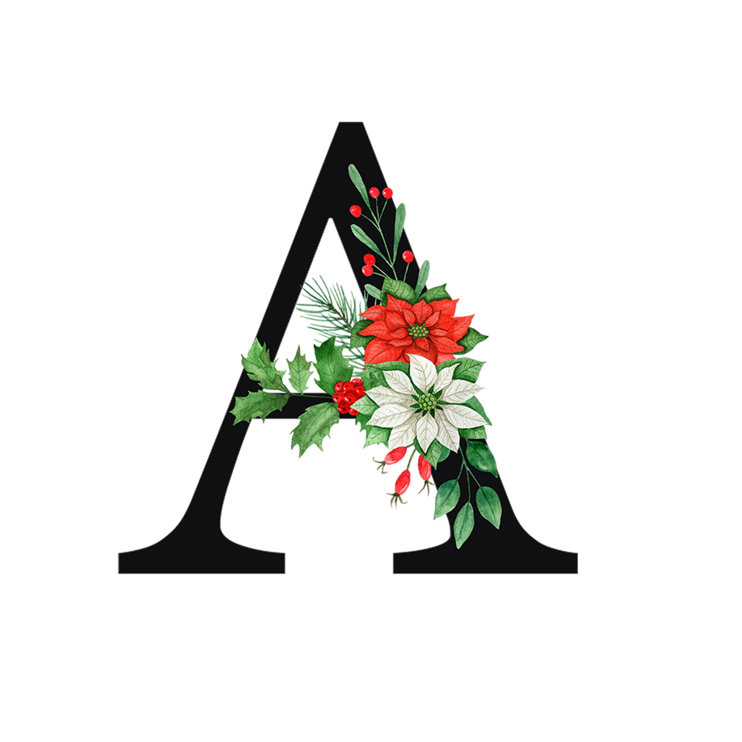 Schwarzes "A" mit roten und weißen Weihnachtsblumen.