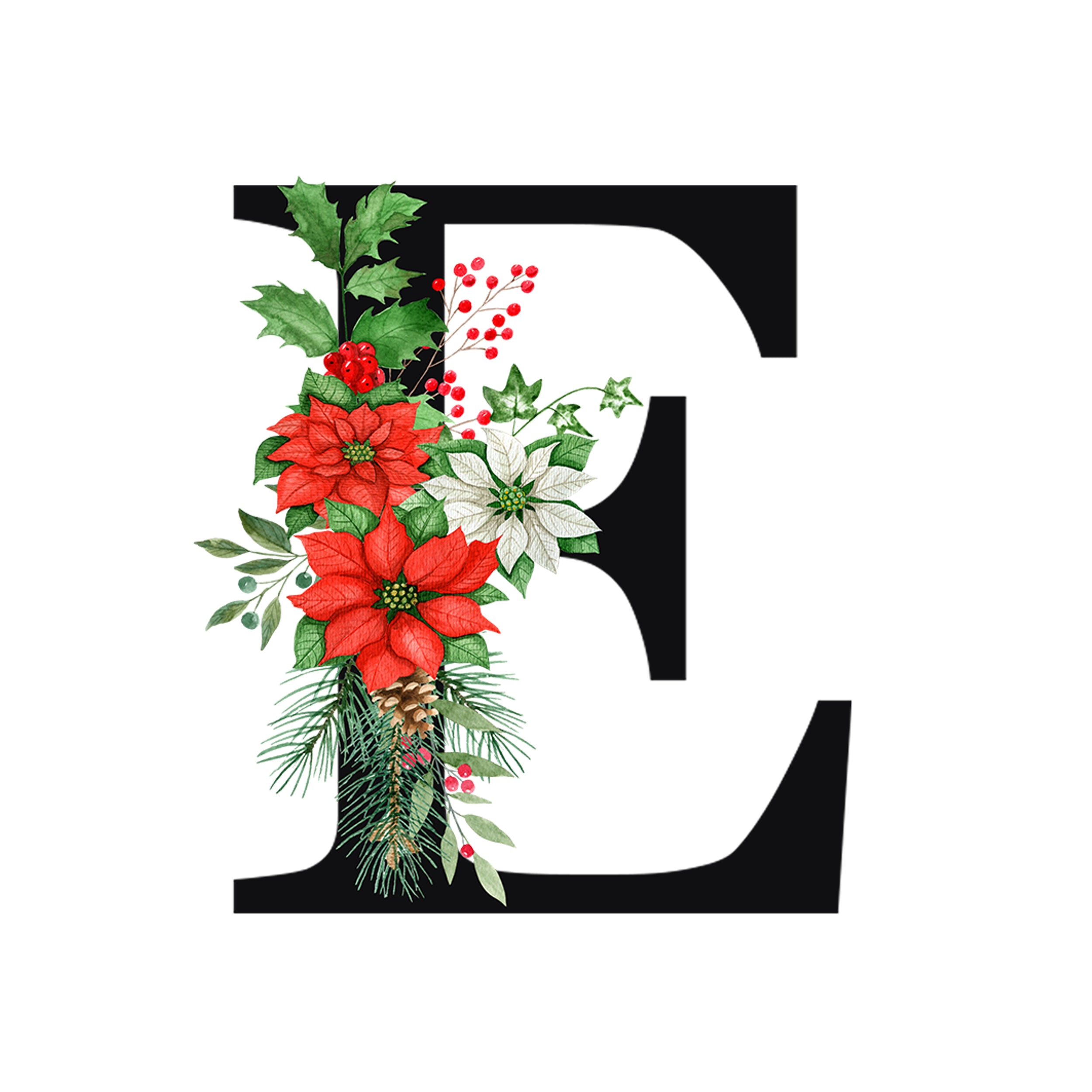 Rote Weihnachtssterne und grüne Blätter um den Buchstaben E.