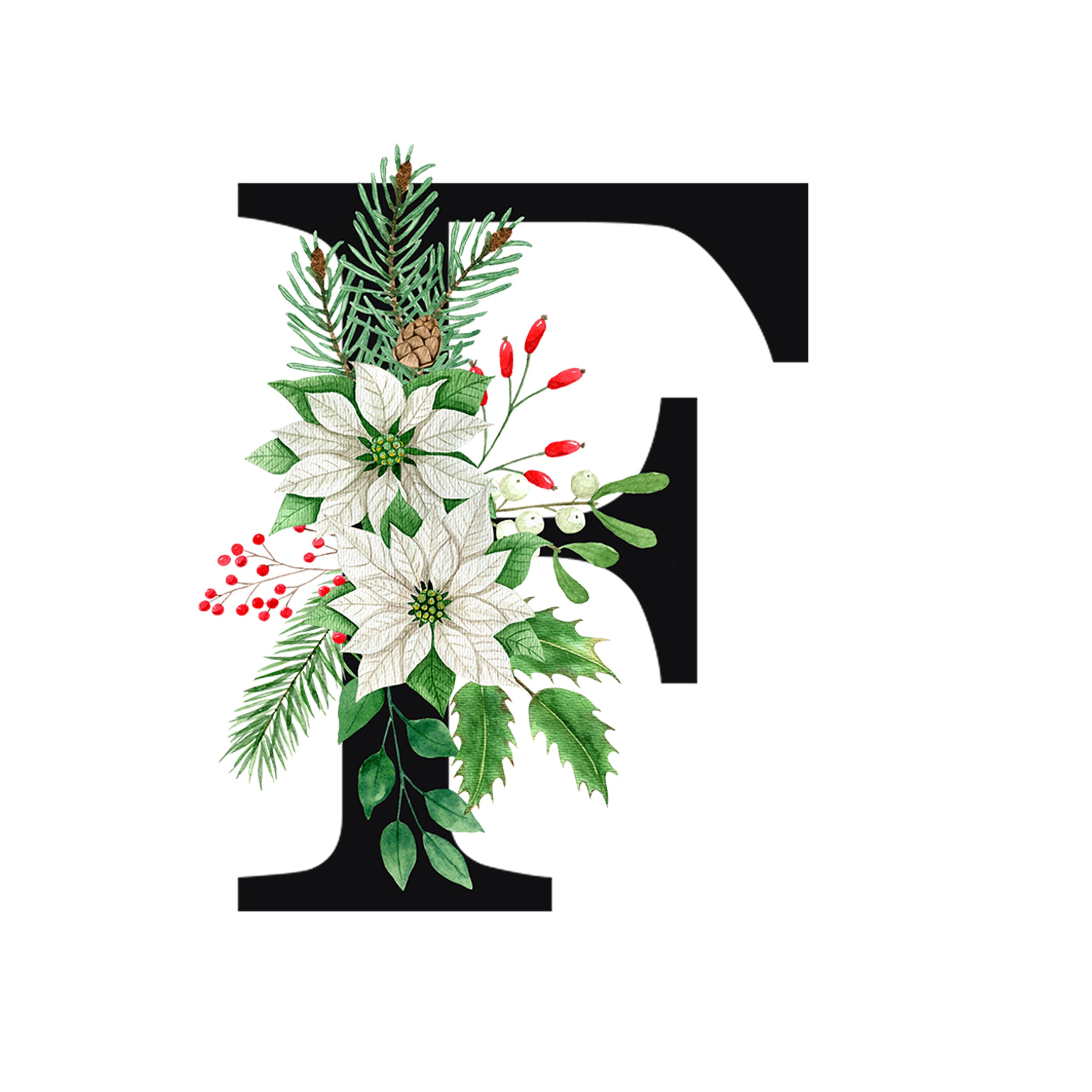 Schwarzer Buchstabe F mit weißen Weihnachtssternen und grünen Pflanzen.