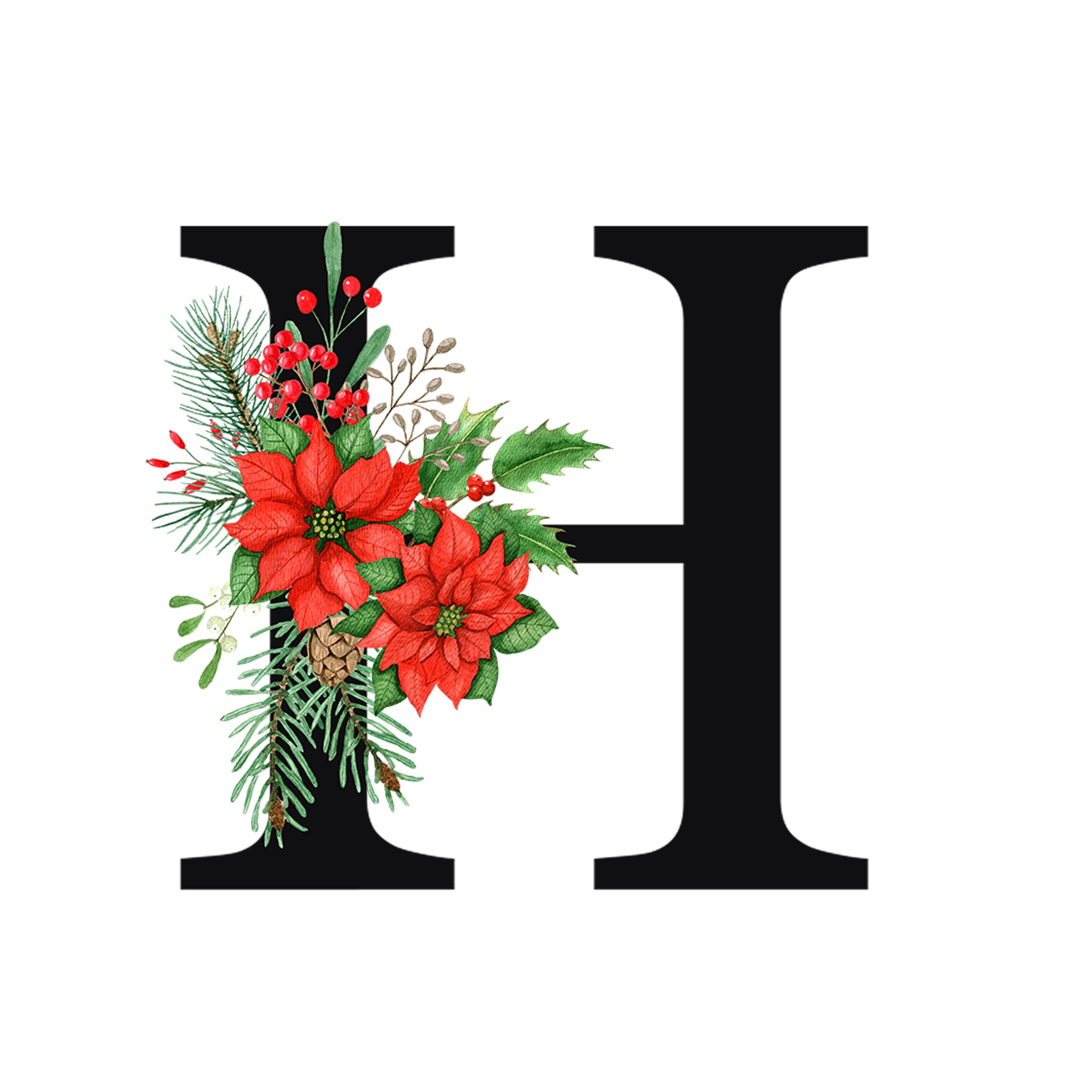 Schwarzes "H" mit roten Weihnachtssternen und grünen Blättern.