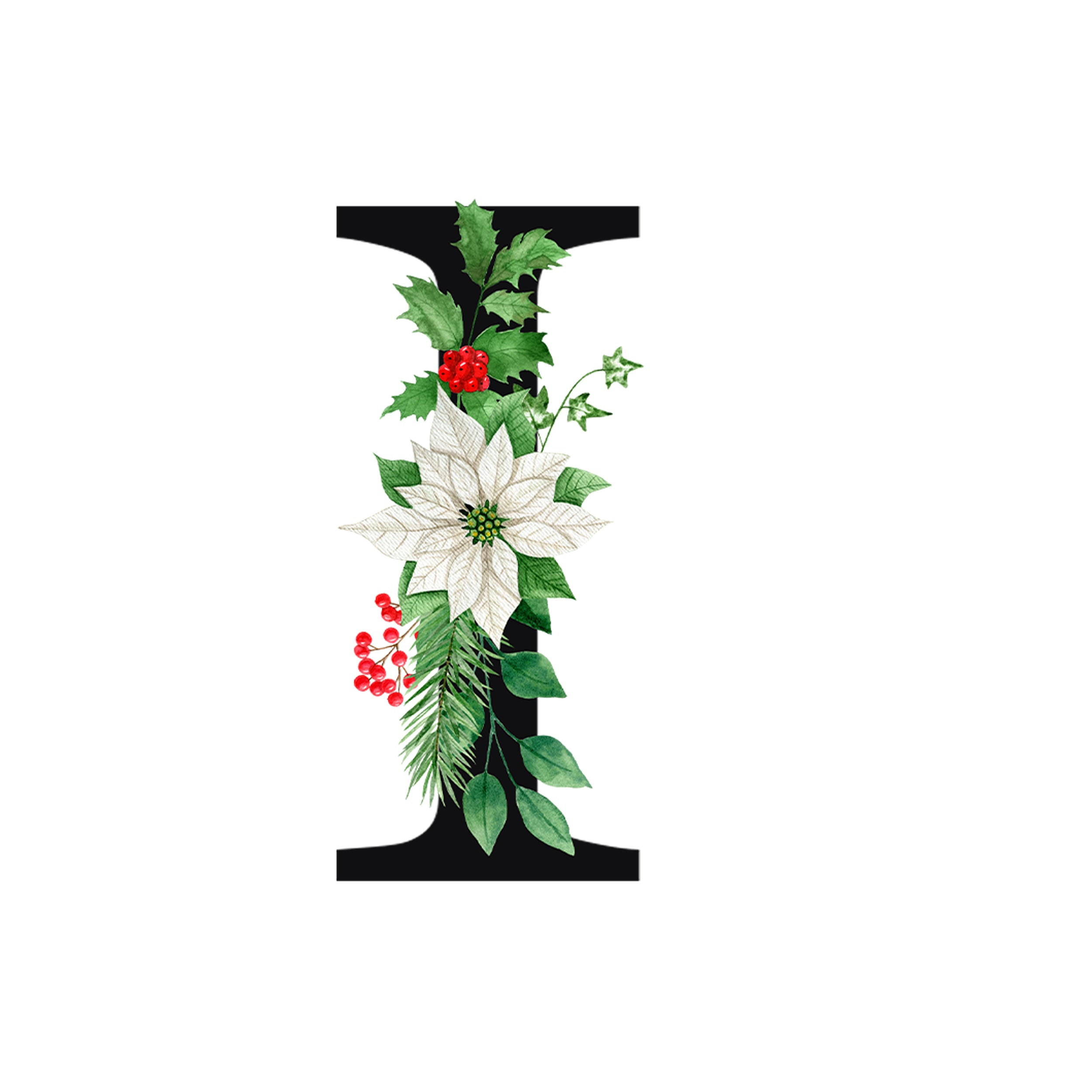 Weißer Weihnachtsstern mit grünen Blättern und roten Beeren.
