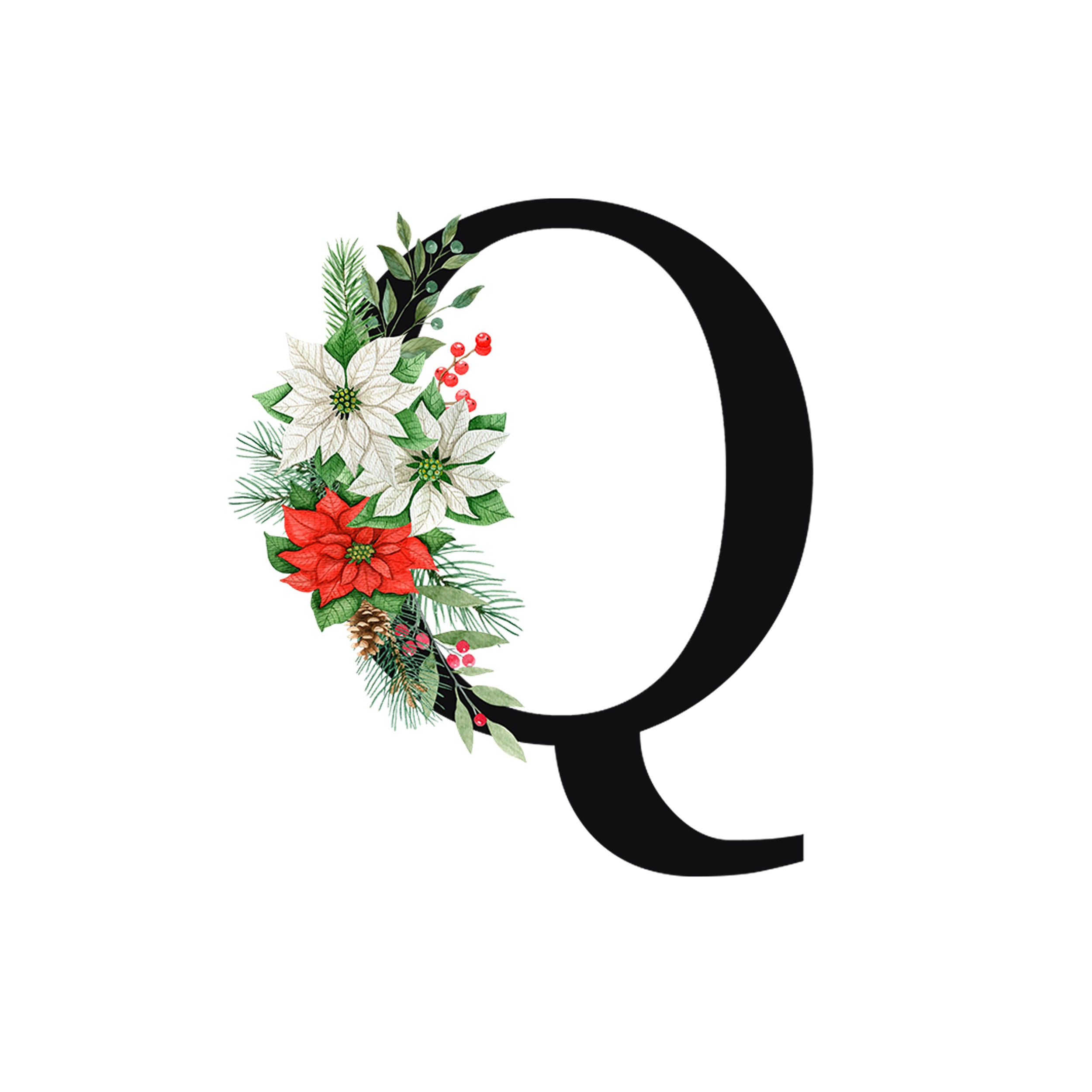 Schwarzes "Q" mit roten und weißen Weihnachtsblumen.