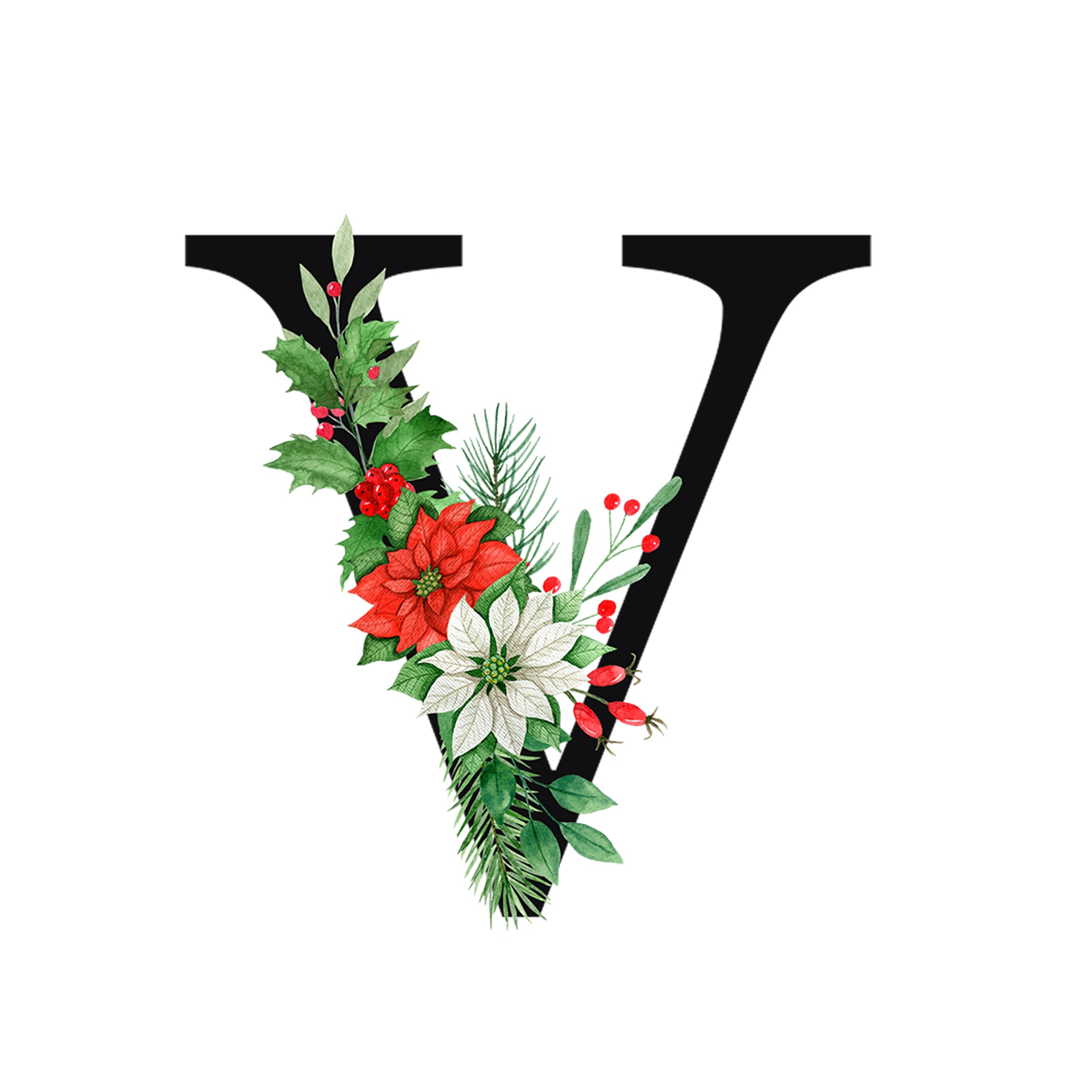 Buchstabe V mit Weihnachtsblumen und grünen Blättern.