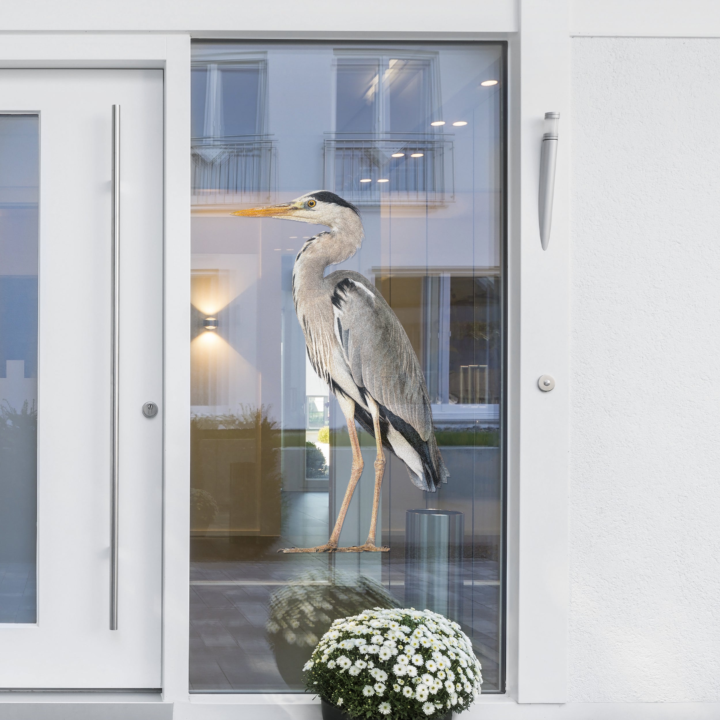 Grauer Reiher hinter Glas, moderne Architektur, blühende Pflanze.