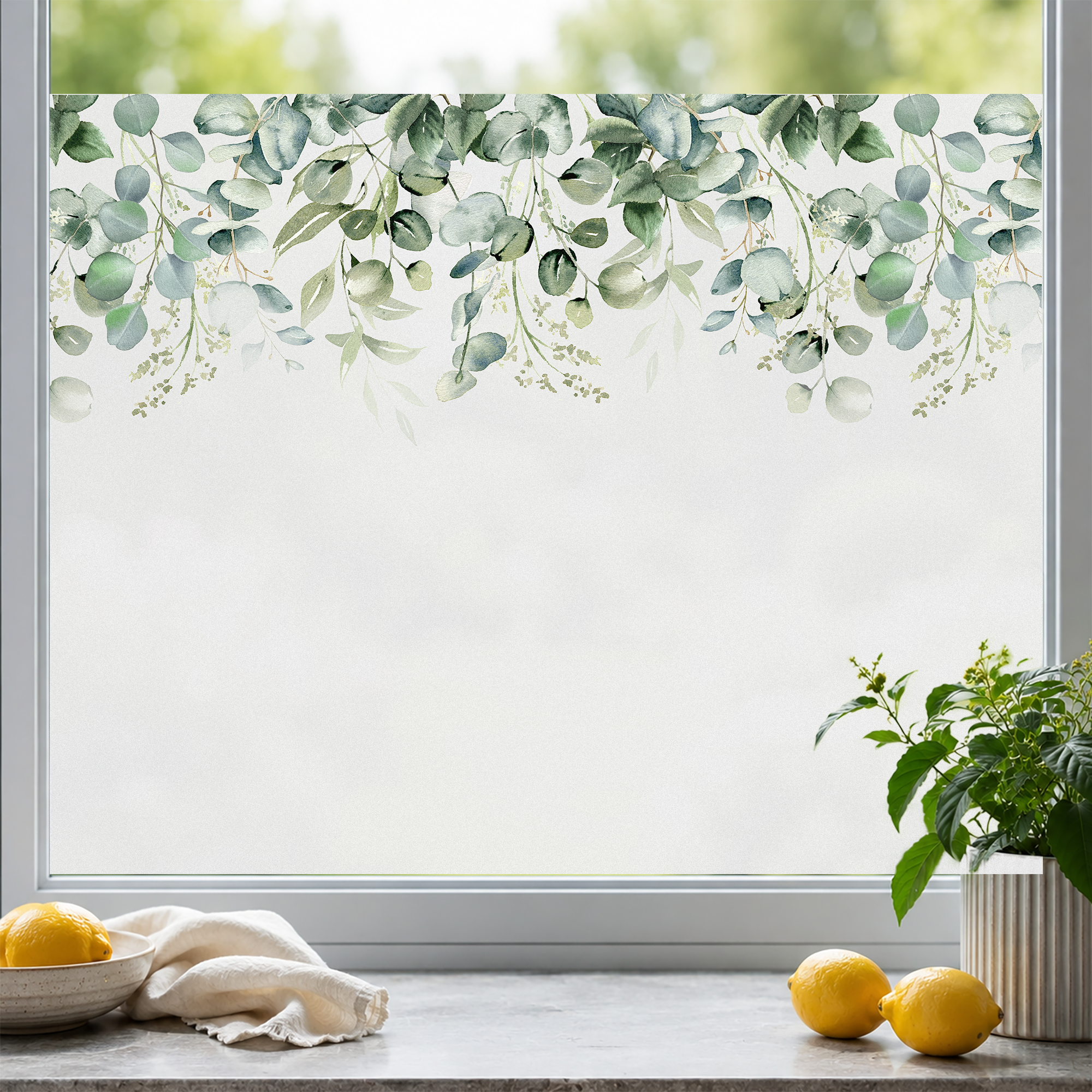 Fensterfolie mit grünem Eukalyptus-Muster und transparentem Hintergrund.