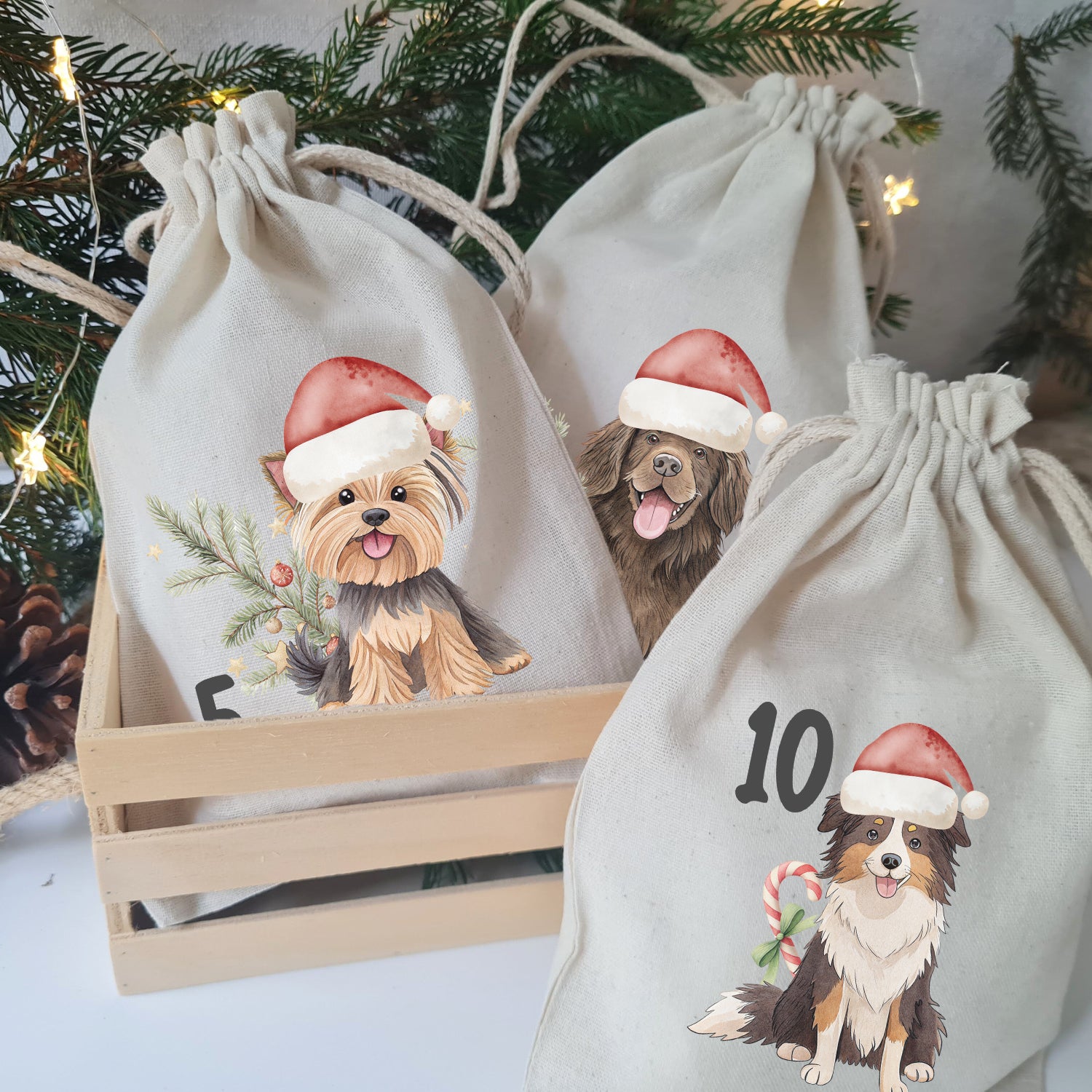Adventskalender Hunde