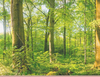 Natur