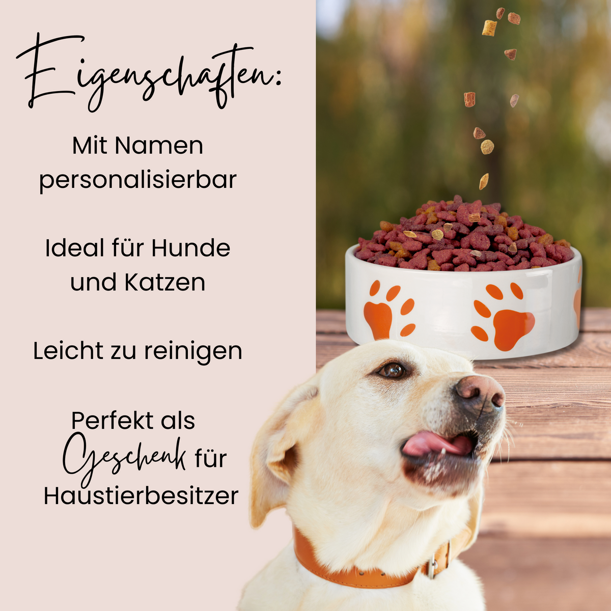 Personalisierbarer Futternapf für Hunde und Katzen, orange.